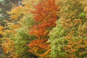 Nice day for a game of golf-101.JPG