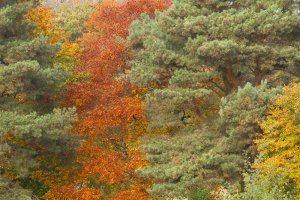 Nice day for a game of golf-103.JPG