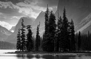 _MG_8917 copy_DxO.jpg