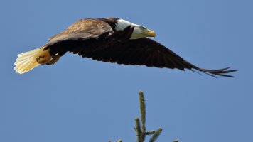 Had enough_16504.JPG