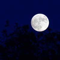 JMZ03528_crop copy.jpg