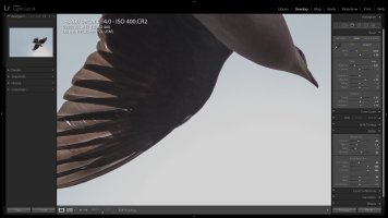 80D Extreme backlight 2.jpg