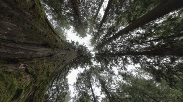 Near Mcbride s_27750.JPG