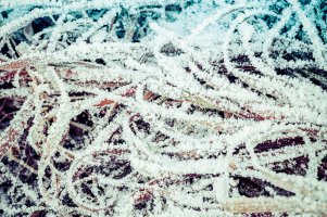 _MG_5482_DxO (1).jpg