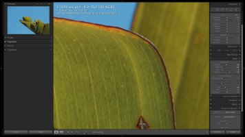 80D Noise - ISO 100b.jpg