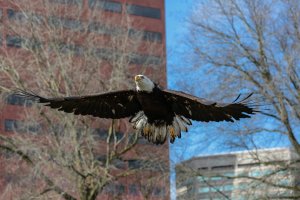 Image03.jpg