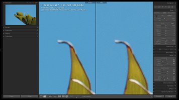 80D Noise - ISO 100 with 'bad'' settings.jpg