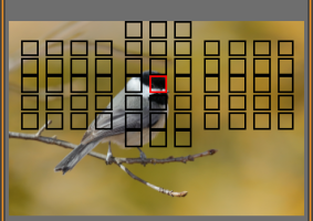 Screen Shot 2016-12-03 at 9.59.27 AM.png