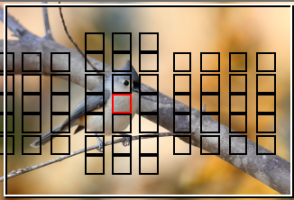 Screen Shot 2016-12-03 at 10.16.06 AM.png