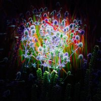 _DSF0873 copy-Edit.jpg