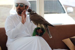 IMG_6906.jpg