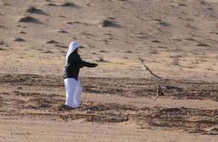 IMG_6964.jpg
