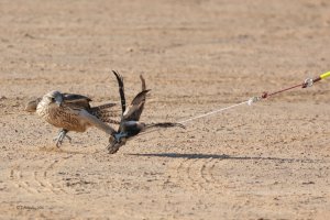 IMG_6972.jpg