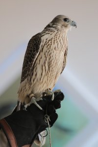 IMG_6914.jpg
