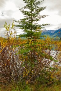 _DSF1579 copy-Edit_DxOVP copy copy.jpg