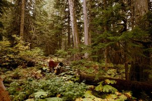 _DSF1546 copy-Edit-3.jpg