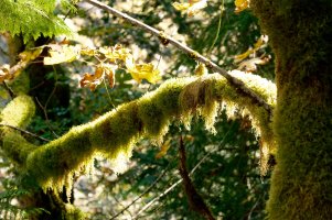 _MG_5317_DxO copy copy.jpg