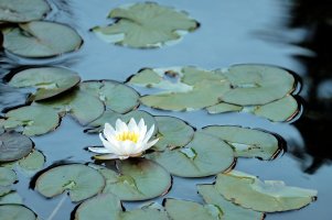 _DSF0988 copy-Edit.jpg