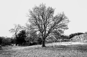 _DSF1329 copy-Edit.jpg