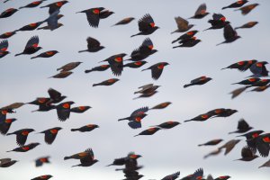 JMZ03729_prime copy.jpg