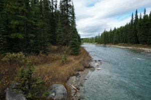 _DSF1570 copy-Edit copy.jpg