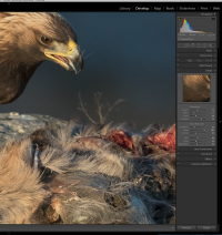 Screen Shot 2016-12-26 at 6.38.31 PM.png