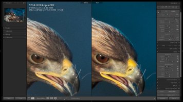 Potential Settings.jpg