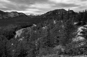 _DSF1594 copy-Edit-2.jpg