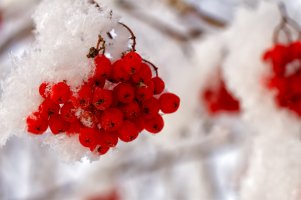 _MG_4944_DxO-Edit-2 copy copy.jpg