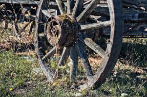 _DSF0959 copy copy.jpg