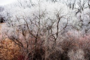 _DSF2733 copy-Edit.jpg