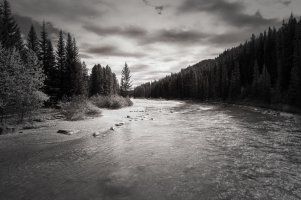 _DSF1568 copy-Edit.jpg