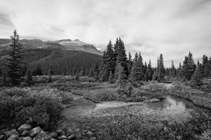 _MG_0375 copy1-2.jpg