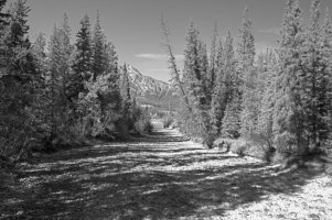 _MG_0280 copy-Edit.jpg