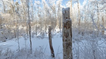 Creek Jan3_2017_1988.JPG