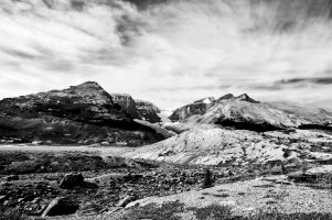 _MG_0369b&w copy (1).jpg