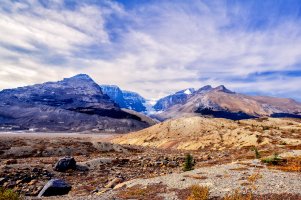 _MG_0369-Edit copy.jpg