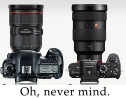 Mirrorless reality.jpg