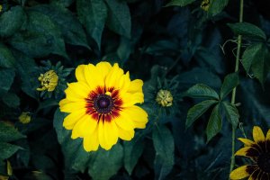 _DSF0864 copy-Edit.jpg