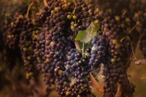 _DSF0894 copy-Edit.jpg