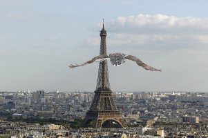 Owl_over_paris.jpg