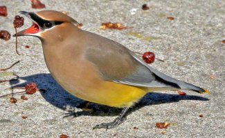 5D3_7152 downsize.jpg