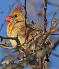 5D3_7474downsized - Copy.jpg