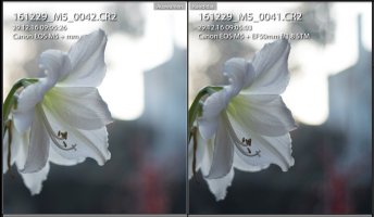 f1.8 comparison Bokeh Quality..jpg