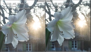 f11 lens flare & contrast.jpg