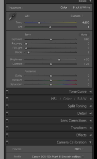 Screen Shot 2017-02-19 at 10.28.25 AM.png