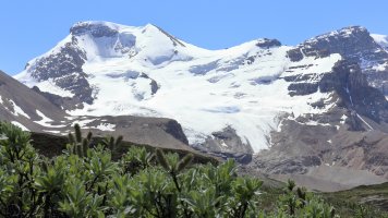 6D 24-70 70_7962.JPG