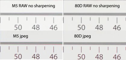 M5vs80D_no_sharpening.jpg