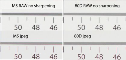 M5vs80D_no_sharpeningExposureCorr.jpg
