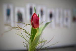 _MG_5383.jpg